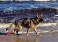 278809308_10228982876060565_8943129139478733601_n.jpg