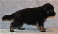 F-KULLEN 2460.JPG