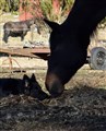 FIGHT.jpg