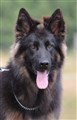 HEDEN 2017-07-23 296.JPG