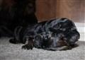 IMG_0027.JPG