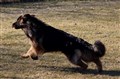 IMG_0343.JPG