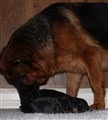IMG_0746.JPG
