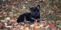 IMG_0905.JPG