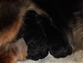 IMG_1828.JPG