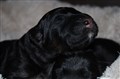 IMG_1834.JPG