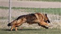 IMG_1977.JPG