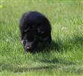 IMG_2400.JPG