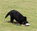 IMG_2795.JPG