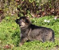 IMG_4176.JPG