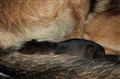 IMG_4320.JPG