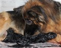 IMG_6669.JPG