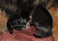 IMG_6823.JPG