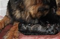 IMG_6846.JPG