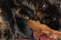 IMG_6850.JPG
