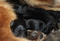 IMG_6858.JPG