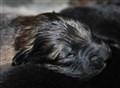 IMG_7026.JPG