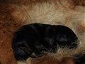 IMG_7941.JPG