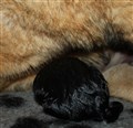 IMG_7968.JPG