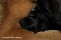 IMG_8076.JPG