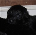 IMG_8222.JPG