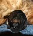 IMG_8907.JPG