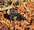 IMG_8931.JPG