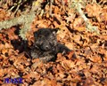 IMG_8957.JPG