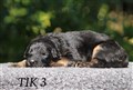 IMG_9356.JPG
