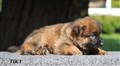 IMG_9817.JPG