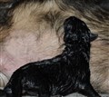 IMG_9860.JPG