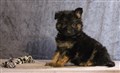 IMG_9867.JPG