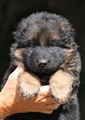 IMG_9993.JPG