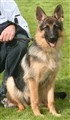 VARA GRÄSTORP 2013 234 - Kopia.JPG